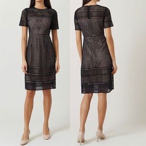 Hobbs London - Elize Dress - Navy/Blush